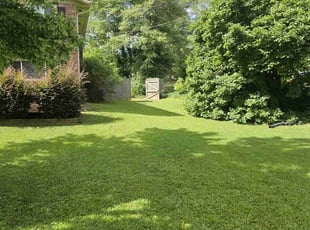 Doroteo B.'s Lawn Maintenance service result