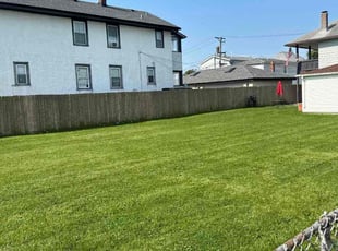Susie T.'s Lawn Mowing service result