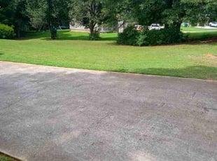 Lashaundra H.'s Grass Cutting service result