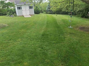 Bethany R.'s Lawn Maintenance service result