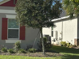 Mitch M.'s Lawn Maintenance service result