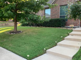 Bush Trimming by Danny Cavazos for Brenda K. in Keller, TX