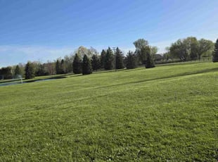 Janet M.'s Grass Cutting service result