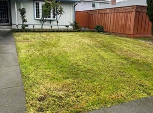 Cleanups by Melisa Simanjuntak for Cassie C. in Hayward, CA