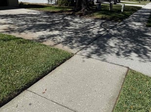 Leaf Removal by Liliana Ochoa-Pascual for Kat H. in Oldsmar, FL
