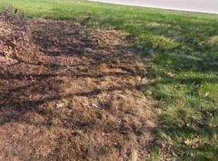 Leaf Removal by matthew houdyshell for Jacob R. in Silvis, IL