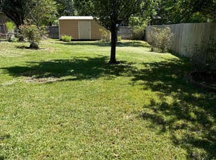 Ramzi A.'s Lawn Maintenance service result