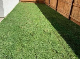 Cynthia R.'s Lawn Care service result