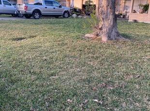 Cleanups by Brian Ford for Jacqueline M. in Universal City, TX
