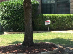 Bush Trimming by Johnny Cox for Alaine M. in Fort Worth, TX