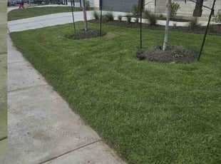 Fernando M.'s Grass Cutting service result