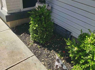 Bush Trimming by James Hill jr for Dalton S. in Indianapolis, IN