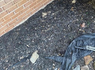 Rachel L.'s Flower Bed Weeding service result