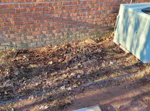 Charley J.'s Leaf Removal service result