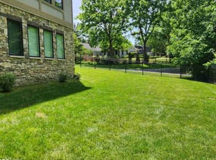Dan B.'s Lawn Care service result