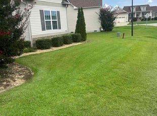 Tam J.'s Lawn Mowing service result