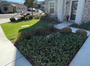 laura S.'s Lawn Mowing service result