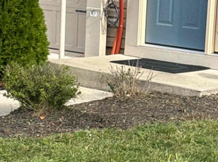 Weeding by Kenny Bratton for Katrina C. in Glen Burnie, MD