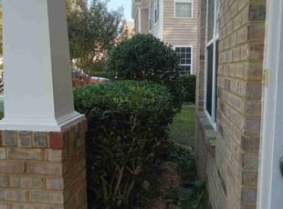 Bush Trimming by Detrail Whitfield for Steven B. in Suffolk, VA
