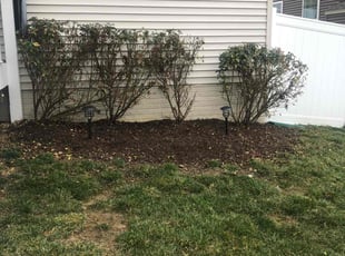 Bush Trimming by Bartolo Alvarez for LaShauna . in Upper Marlboro, MD