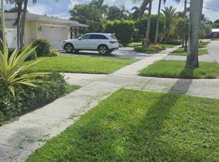 Thomas C.'s Grass Cutting service result