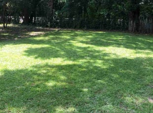 Candace B.'s Lawn Mowing Service service result
