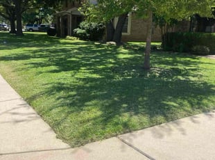 Justin A.'s Lawn Mowing service result