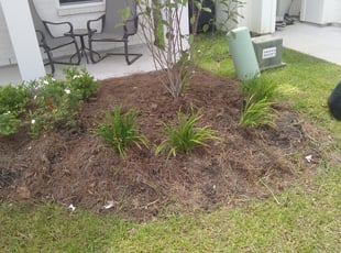 Weeding by Daron Doyle for Chase T. in Baton Rouge, LA