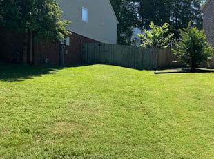 Ashley W.'s Lawn Mowing Service service result