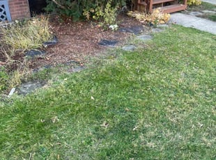 Weeding by Kevin Wright for Matthew C. in Cleveland Heights, OH