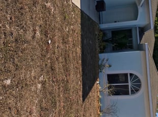 Landscaping by William Chavers for Jayne C. in Riverview, FL