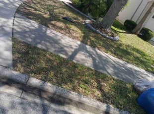 Leaf Removal by Jean Claude Zephirin for Lisa R. in Orange Park, FL