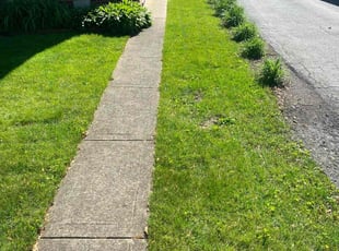 Reginald F.'s Lawn Service service result