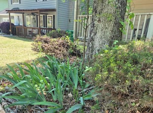 Bush Trimming by Amira Knowles for Calvin R. in Stone Mountain, GA