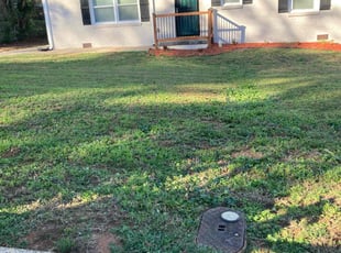 Ian S.'s Yard Cutting service result