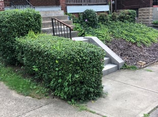 Bush Trimming by Dorrell Colbert for Jeanne A. in Pittsburgh, PA