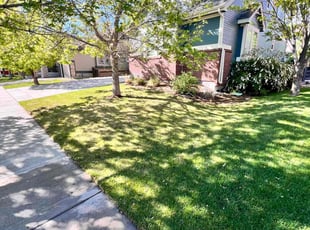 Valerie R.'s Lawn Care service result