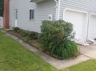 Bush Trimming by Alejandro Gamboa for Kristin M. in Clementon, NJ