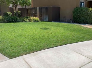 Jade S.'s Lawn Mowing Service service result