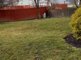 Leaf Removal by Alisha Lawson for H. in Galloway, OH