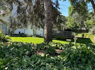Tom S.'s Lawn Care service result