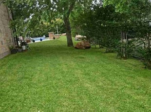 Saba W.'s Lawn Service service result