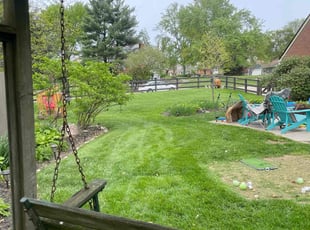 Richard B.'s Lawn Mowing service result