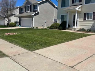 Angie D.'s Lawn Service service result