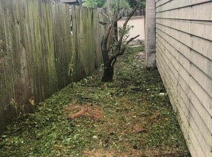 Cleanups by Joseph Dinsmore for Lisa S. in Lake Worth, FL