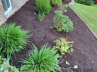 Mulching by Edwin Villagran for Nick K. in Rockville, MD