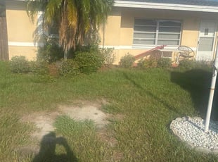 Bush Trimming by sergio beltran for Megan F. in Clearwater, FL