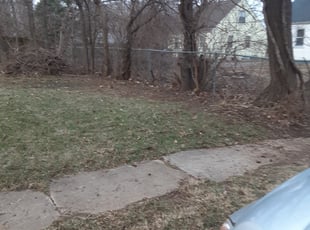 Leaf Removal by Jason Fetters for Daniecia T. in Columbus, OH