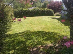 David T.'s Lawn Service service result