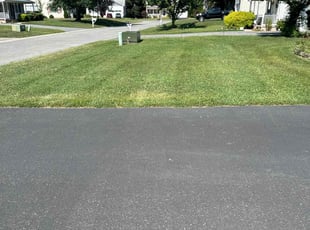 Amy D.'s Lawn Mowing Service service result